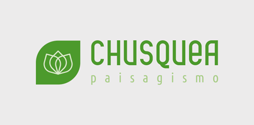 Chusquea Paisagismo