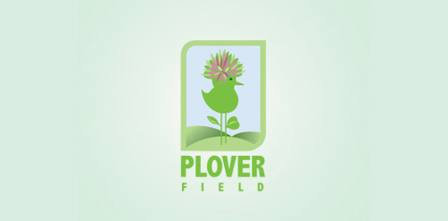 Plover Field