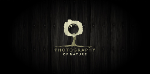 photography logo design templates png