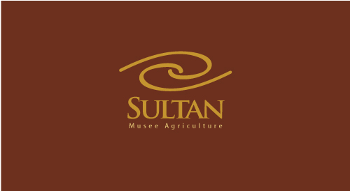 Multan Sultans unveil logo, team kit (VIDEO + PHOTOS)